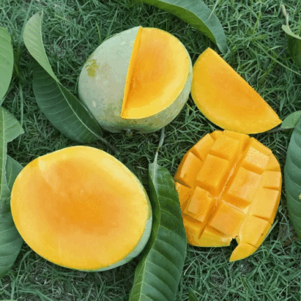 ১২ কেজি আম - জেলা সদরে হোম ডেলিভারি